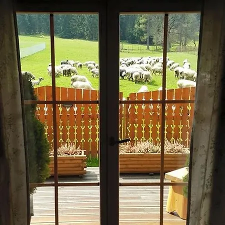 Otulina * 扎科帕内